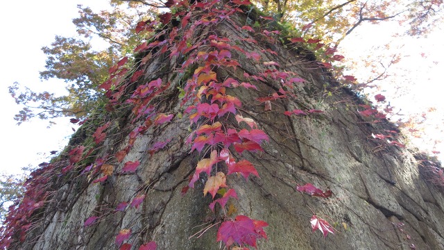 f:id:cafeee:20161110222206j:plain