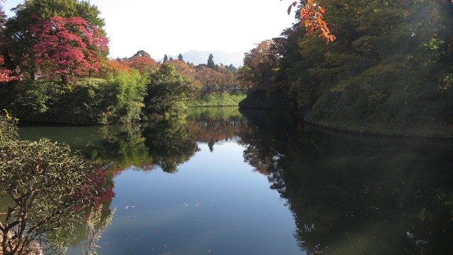 f:id:cafeee:20161110222224j:plain