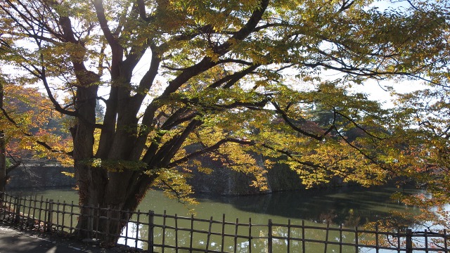 f:id:cafeee:20161112215550j:plain