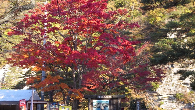 f:id:cafeee:20161113212704j:plain f:id:cafeee:20161113212704j:plain