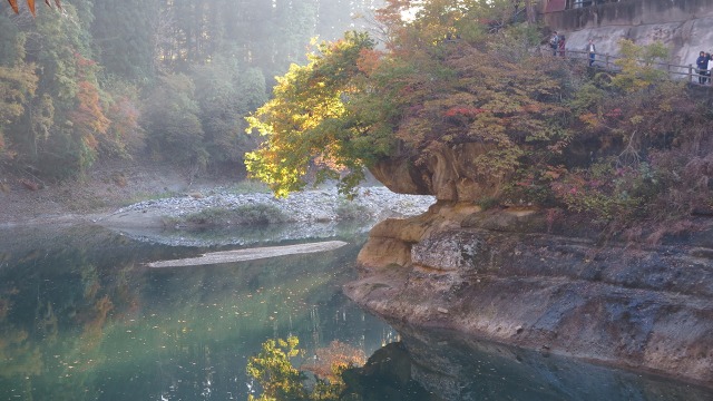 f:id:cafeee:20161113212857j:plain f:id:cafeee:20161113212857j:plain