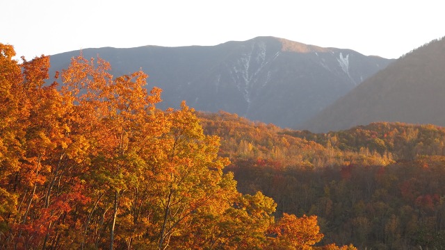 f:id:cafeee:20161113213118j:plain f:id:cafeee:20161113213118j:plain