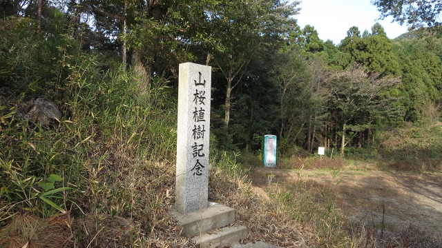 f:id:cafeee:20161115230324j:plain