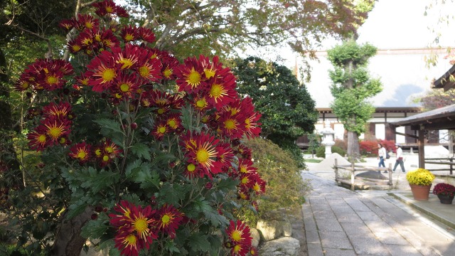 f:id:cafeee:20161115230412j:plain