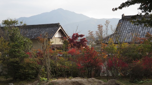 f:id:cafeee:20161115230513j:plain