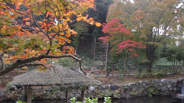 f:id:cafeee:20161118175800j:plain