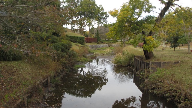 f:id:cafeee:20161118175904j:plain