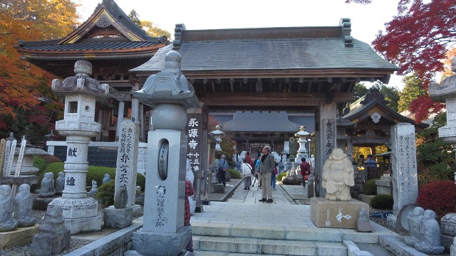 f:id:cafeee:20161119220007j:plain