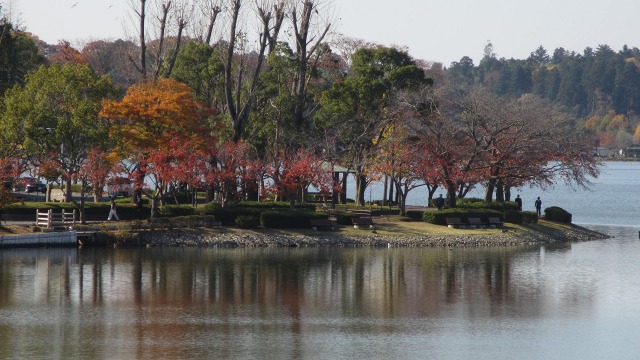 f:id:cafeee:20161121225810j:plain f:id:cafeee:20161121225810j:plain