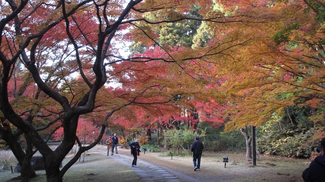 f:id:cafeee:20161121230125j:plain f:id:cafeee:20161121230125j:plain