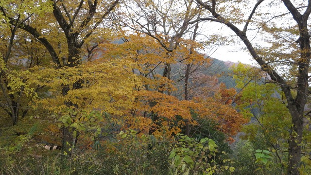 f:id:cafeee:20161124222900j:plain