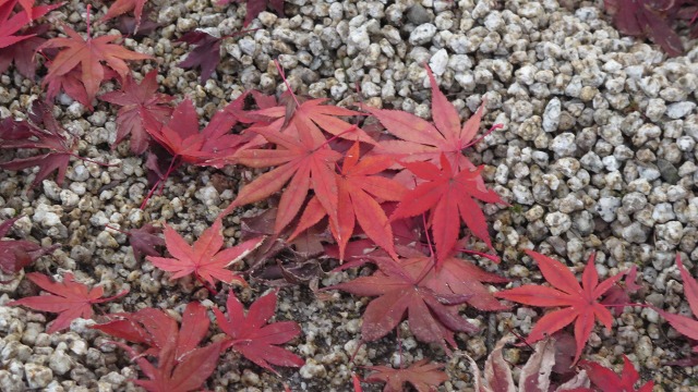 f:id:cafeee:20161127083805j:plain