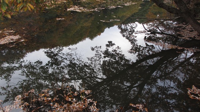 f:id:cafeee:20161127093835j:plain