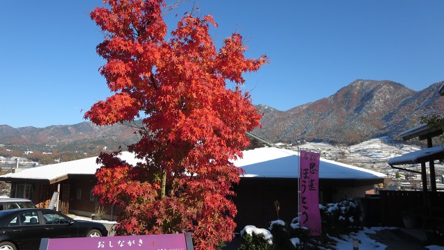 f:id:cafeee:20161127201246j:plain f:id:cafeee:20161127201246j:plain