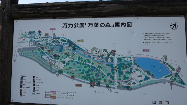 f:id:cafeee:20161210232110j:plain