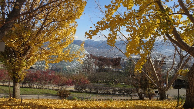 f:id:cafeee:20161210233433j:plain