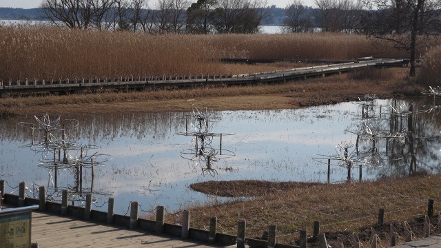 f:id:cafeee:20170107220853j:plain