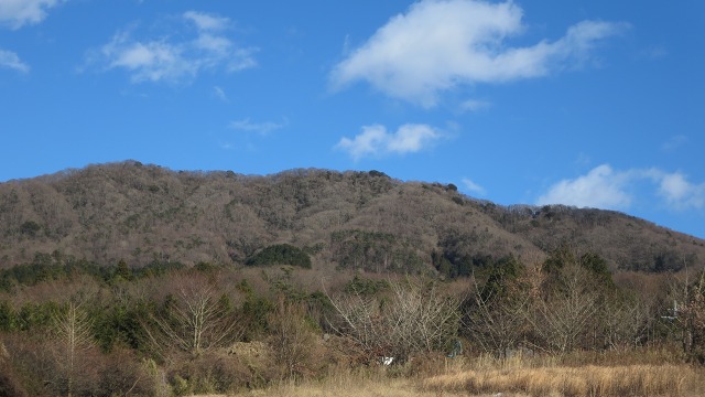 f:id:cafeee:20170118213750j:plain
