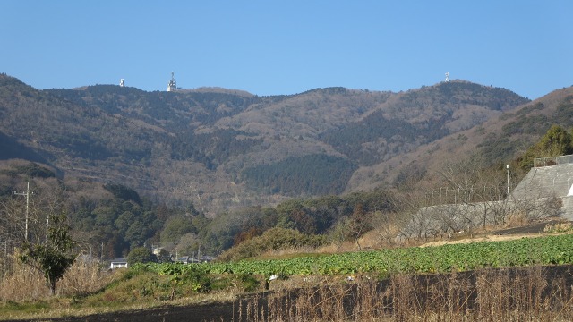 f:id:cafeee:20170131215824j:plain