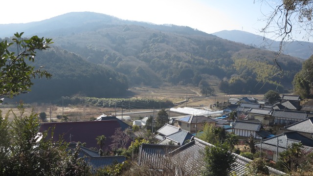 f:id:cafeee:20170131220111j:plain