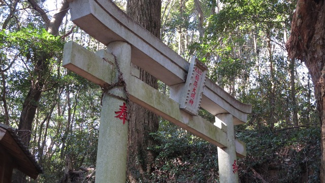 f:id:cafeee:20170131220132j:plain