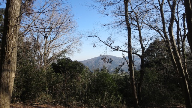 f:id:cafeee:20170131220244j:plain