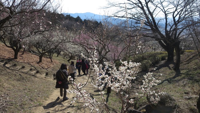 f:id:cafeee:20170304204259j:plain