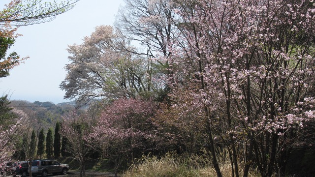 f:id:cafeee:20170424222142j:plain