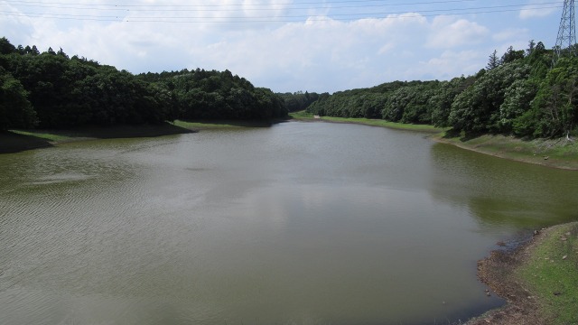 f:id:cafeee:20170615203003j:plain f:id:cafeee:20170615203003j:plain