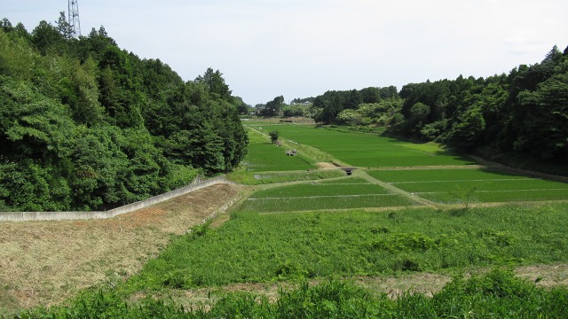 f:id:cafeee:20170615203048j:plain f:id:cafeee:20170615203048j:plain