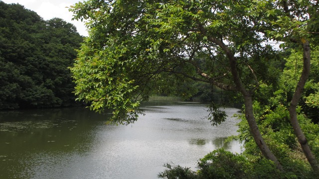 f:id:cafeee:20170616214339j:plain