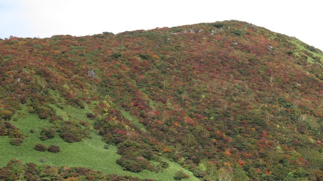 f:id:cafeee:20171006223040j:plain