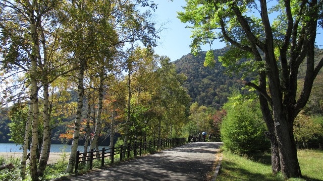 f:id:cafeee:20171014102522j:plain f:id:cafeee:20171014102522j:plain