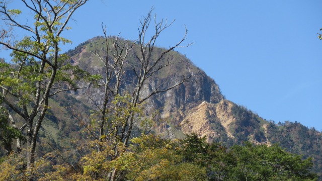 f:id:cafeee:20171014102634j:plain f:id:cafeee:20171014102634j:plain