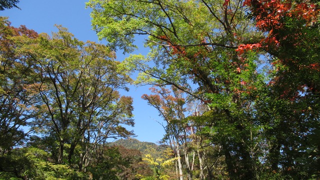 f:id:cafeee:20171014102742j:plain f:id:cafeee:20171014102742j:plain