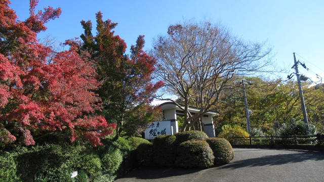 f:id:cafeee:20171115211010j:plain