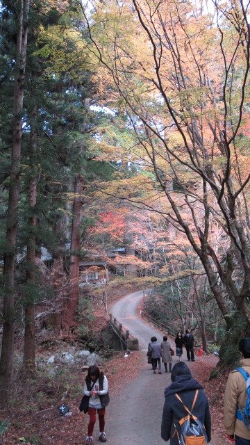 f:id:cafeee:20171206212907j:plain