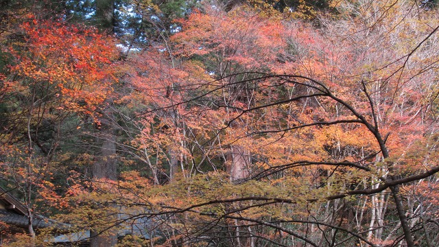 f:id:cafeee:20171206212940j:plain