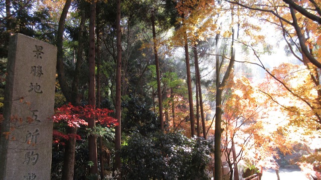 f:id:cafeee:20171209221812j:plain