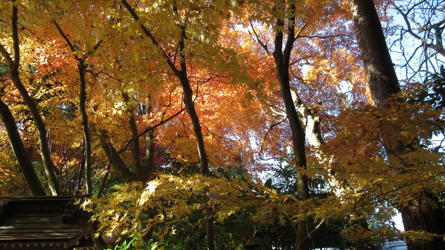 f:id:cafeee:20171209221823j:plain