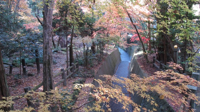 f:id:cafeee:20171209221901j:plain