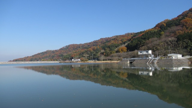 f:id:cafeee:20171209221954j:plain