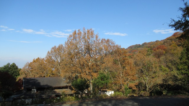 f:id:cafeee:20171209222039j:plain