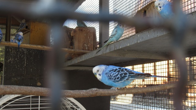 f:id:cafeee:20171231222431j:plain f:id:cafeee:20171231222431j:plain