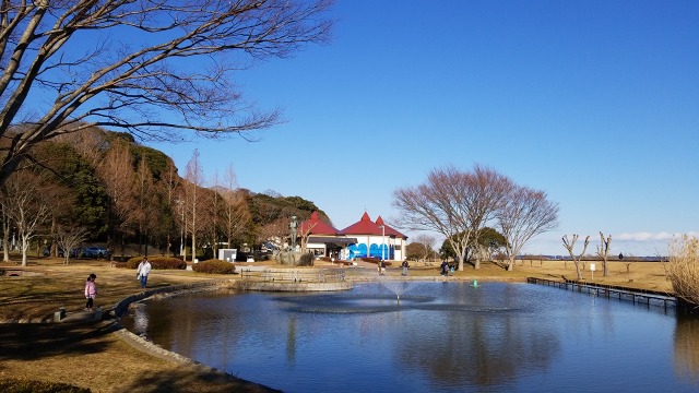 f:id:cafeee:20180124214349j:plain