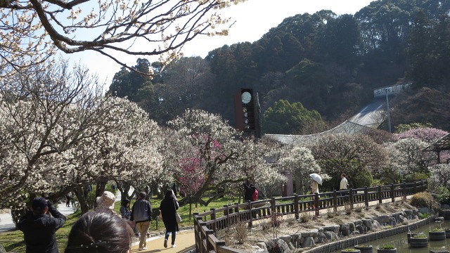f:id:cafeee:20180404205857j:plain