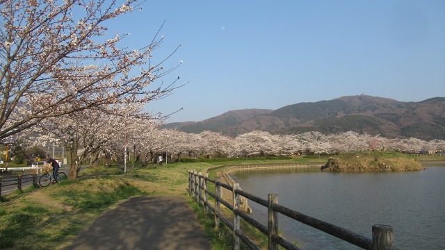 f:id:cafeee:20180426215918j:plain