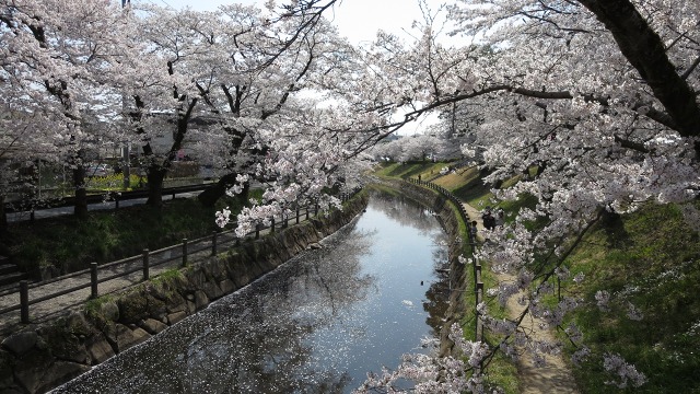 f:id:cafeee:20180506211053j:plain f:id:cafeee:20180506211053j:plain