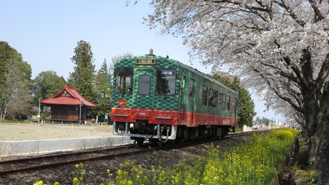 f:id:cafeee:20180506211318j:plain f:id:cafeee:20180506211318j:plain