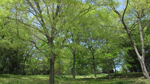 f:id:cafeee:20180521214053j:plain f:id:cafeee:20180521214053j:plain